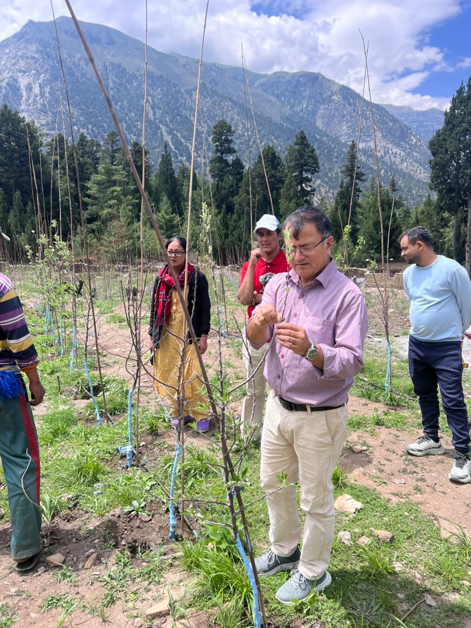 scheme 2 अनुगमन
